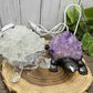 Amethyst & Clear Quartz Turtle Lights/Lamps