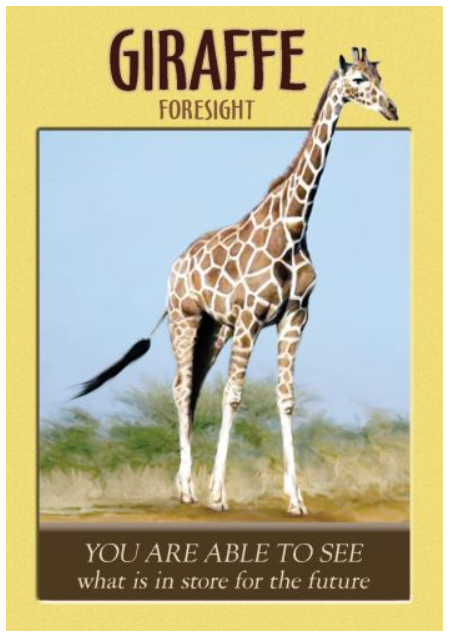 Power Animal Oracle Cards: A 44 Card Deck with Guidebook