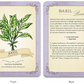 The Green Witch's Deck of Magical Herbalism: 50 of the Most Magical Plants, Herbs, and Flowers to Empower your Craft