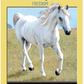 Power Animal Oracle Cards: A 44 Card Deck with Guidebook