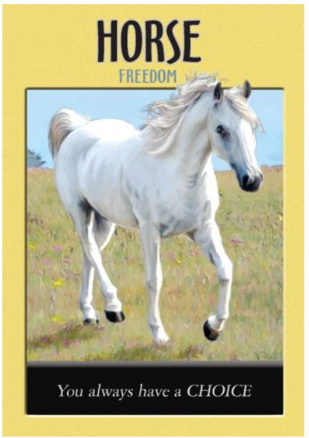 Power Animal Oracle Cards: A 44 Card Deck with Guidebook
