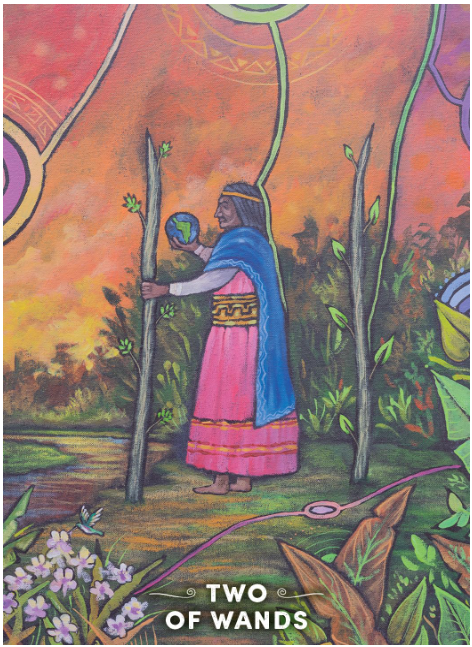 The Shaman's Tarot: A 78 Card Deck & Guidebook