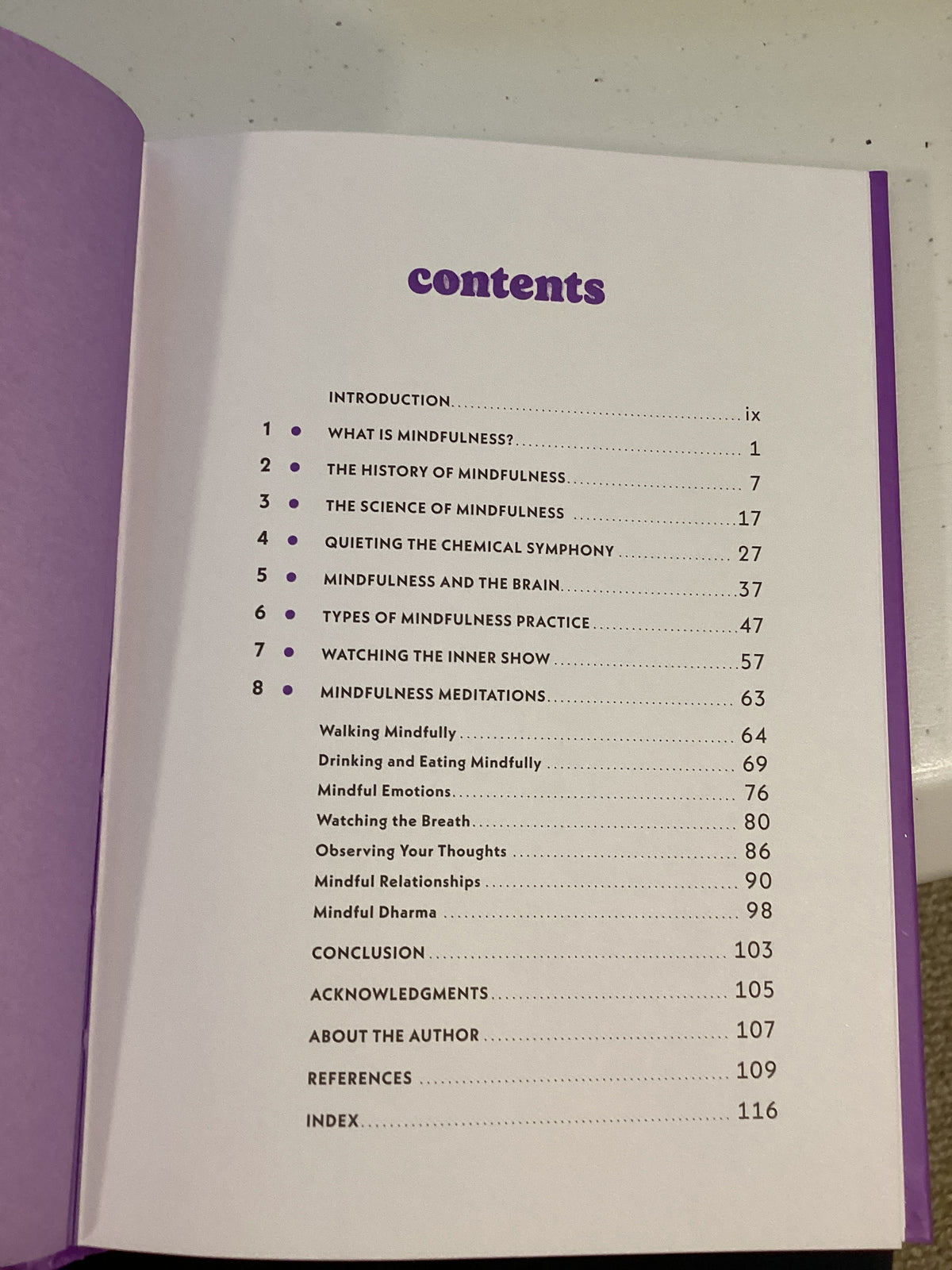 A Little Bit of Mindfulness: An Introduction to Being Present (Purple Cover)