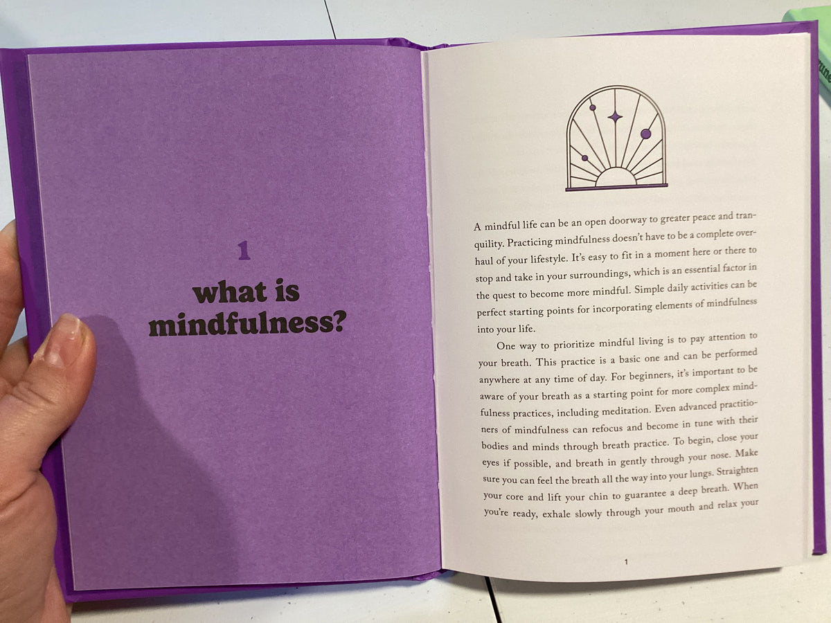A Little Bit of Mindfulness: An Introduction to Being Present (Purple Cover)
