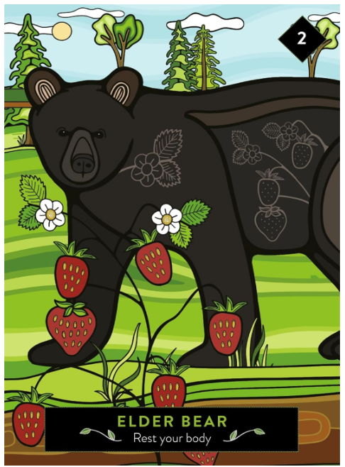The Animal Elders Oracle: A 44 Card Deck and Guidebook