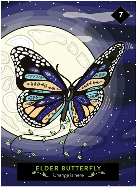 The Animal Elders Oracle: A 44 Card Deck and Guidebook