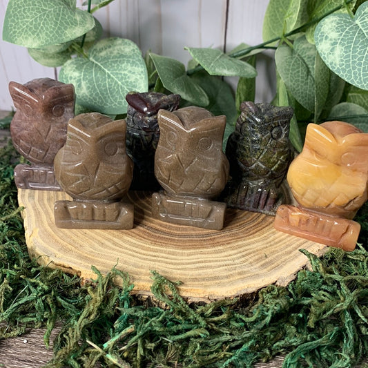 Owl Carvings - Large