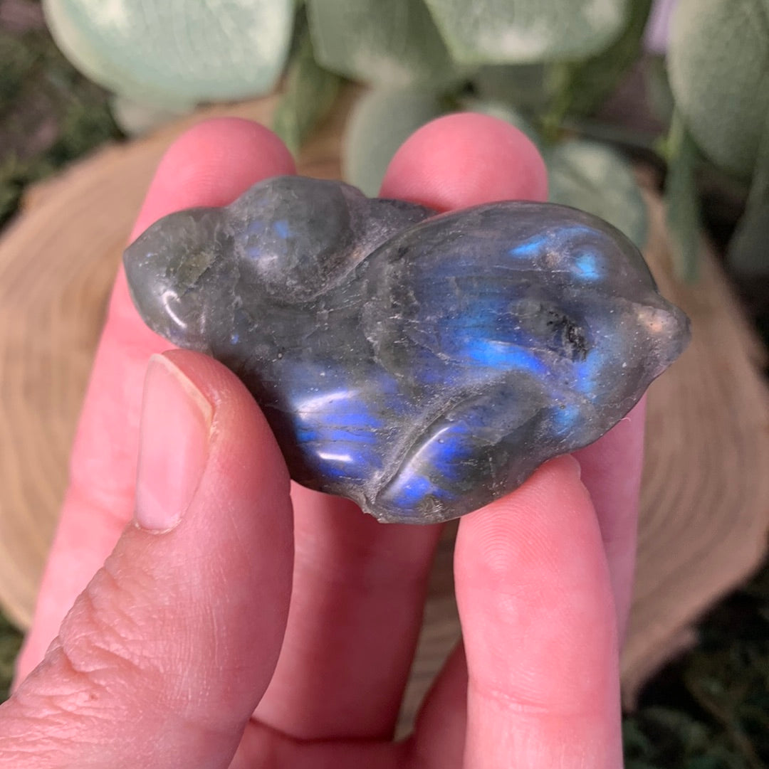 Dolphin Labradorite Carvings