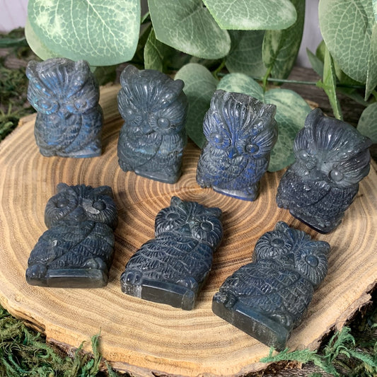 Owl - Labradorite Carvings