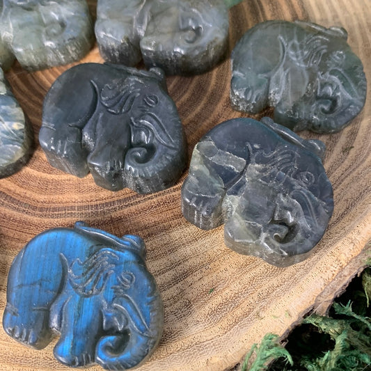 Elephant - Labradorite Carvings