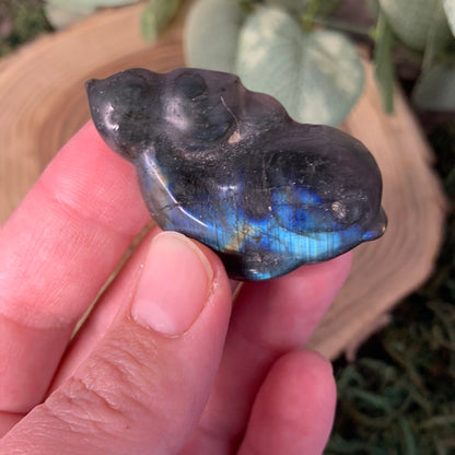 Dolphin Labradorite Carvings