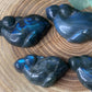 Dolphin Labradorite Carvings