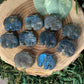 Elephant - Labradorite Carvings