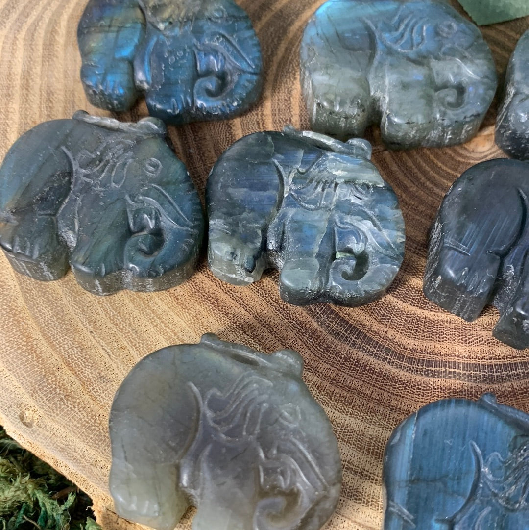 Elephant - Labradorite Carvings