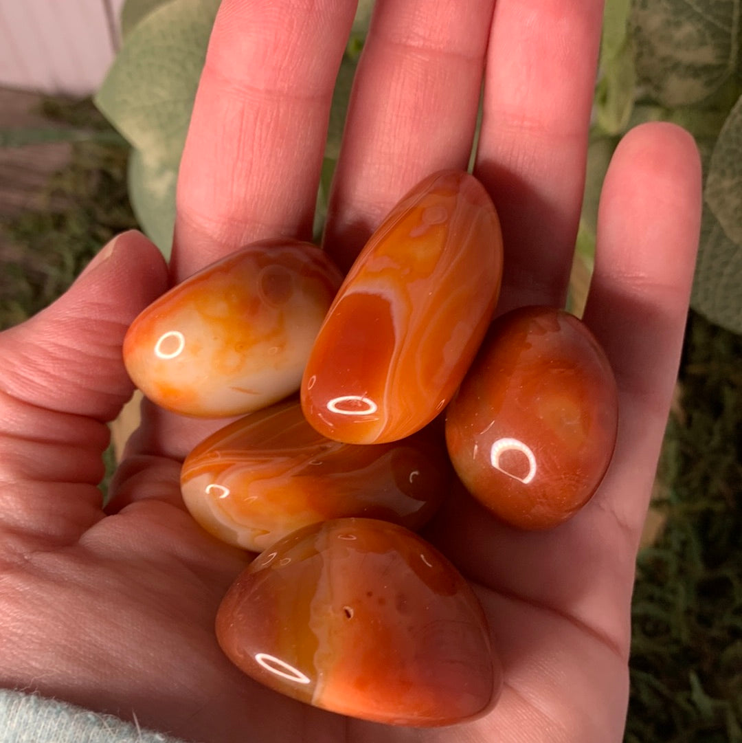 Carnelian Tumbles