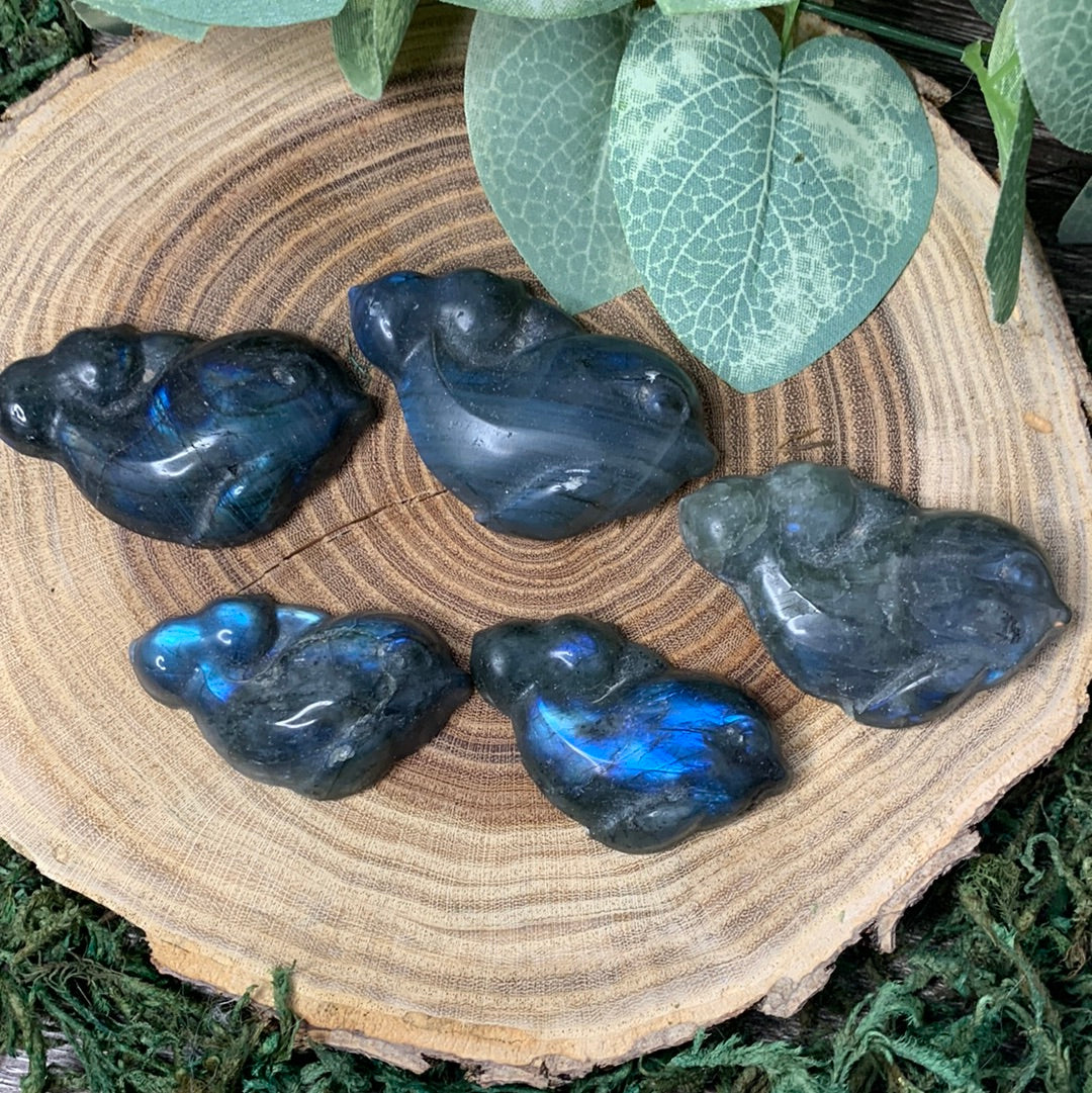 Dolphin Labradorite Carvings