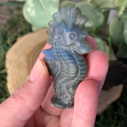 Sea Horse Labradorite Carvings