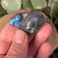 Dolphin Labradorite Carvings