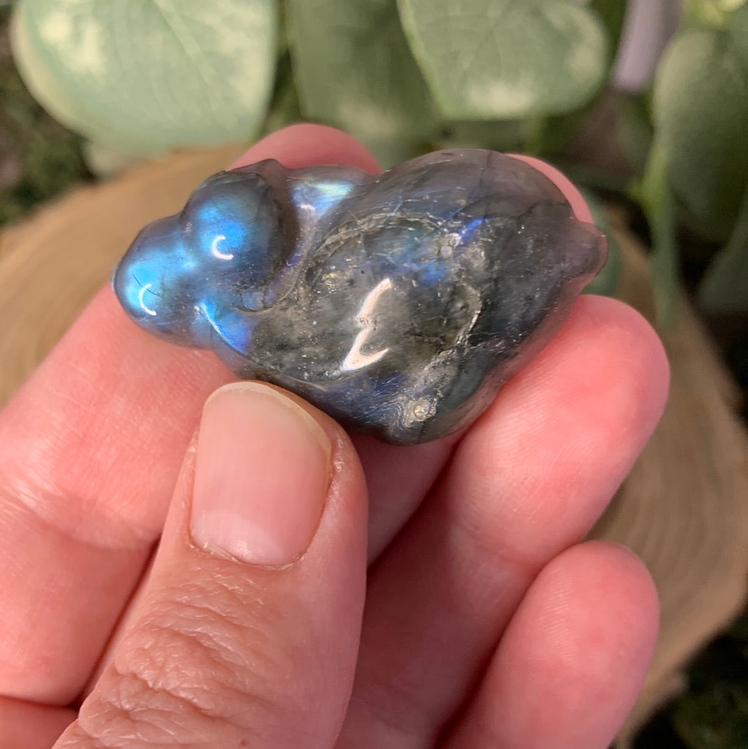 Dolphin Labradorite Carvings