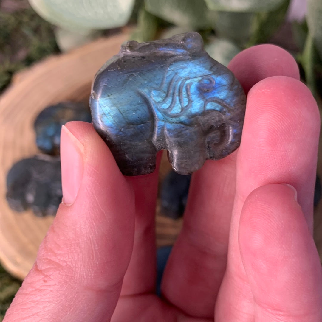 Elephant - Labradorite Carvings