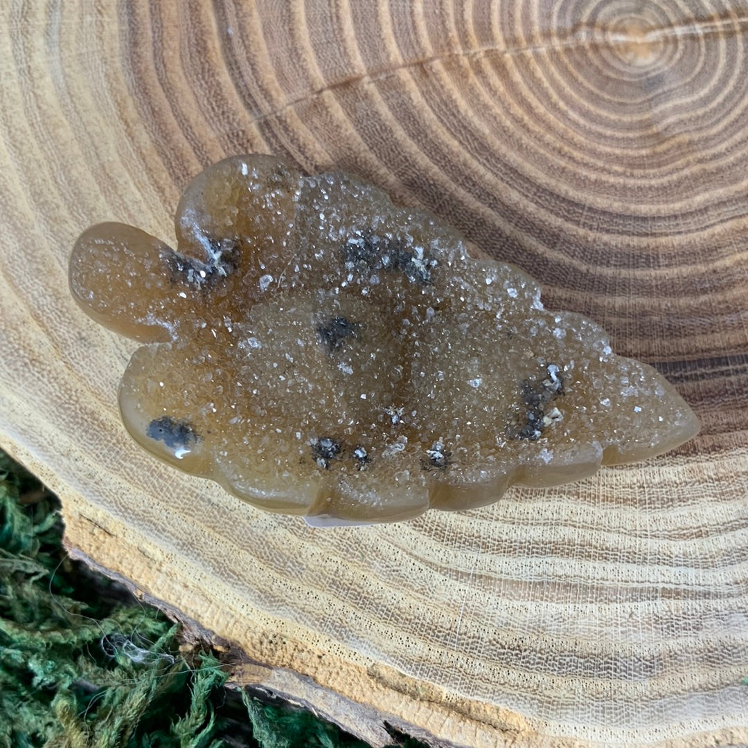 Leaf Druzy Agate Carvings