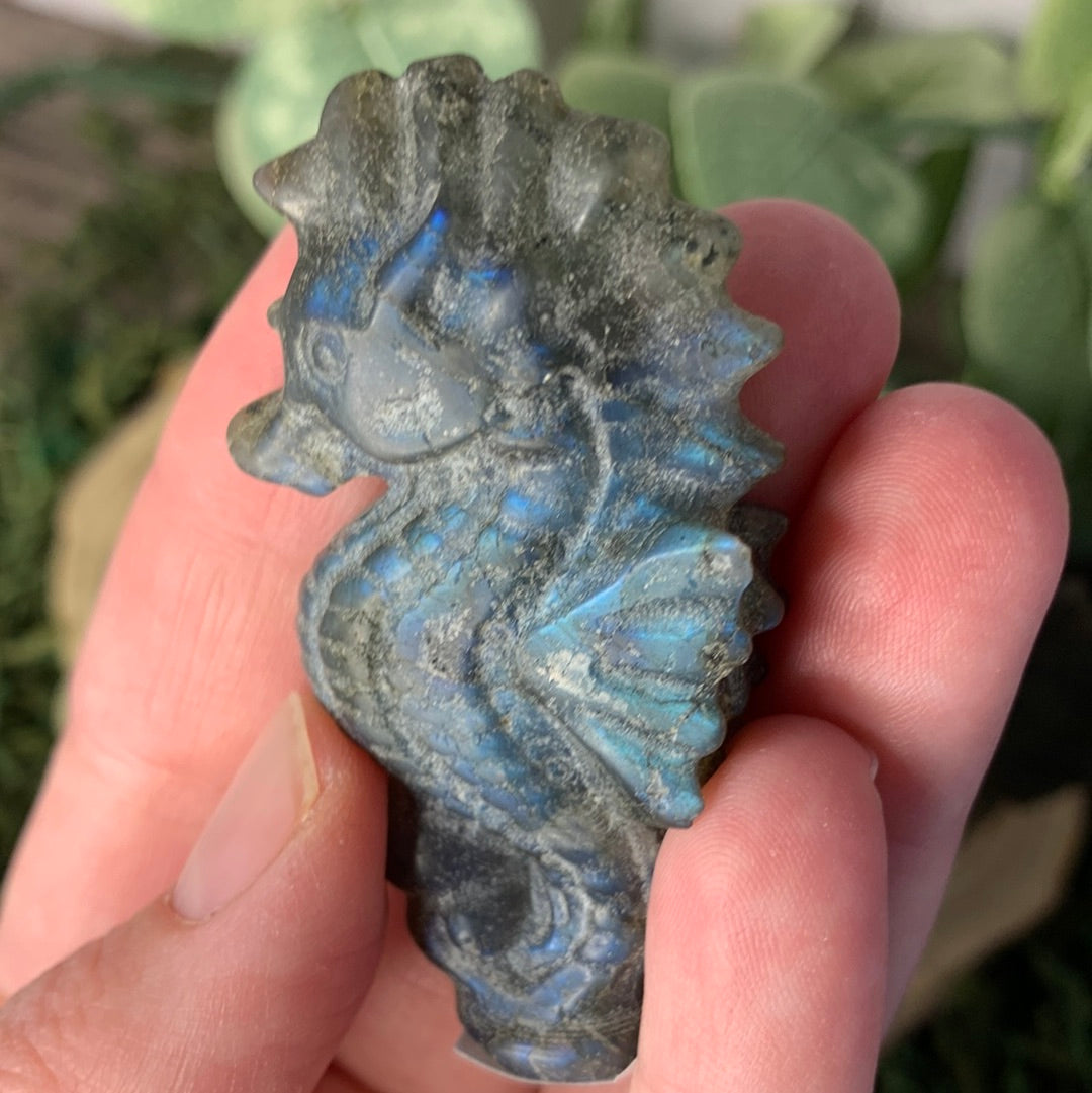 Sea Horse Labradorite Carvings