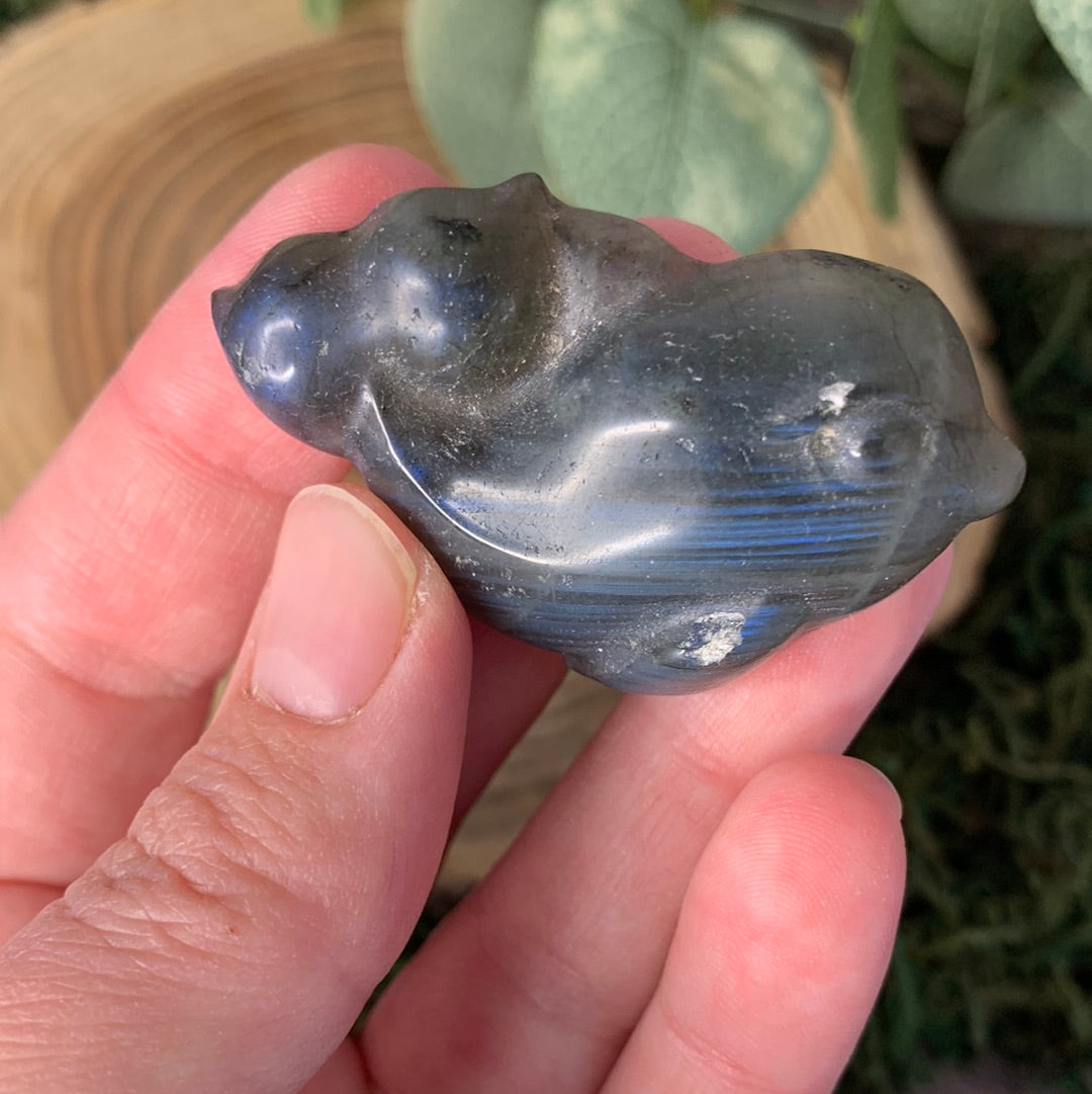 Dolphin Labradorite Carvings