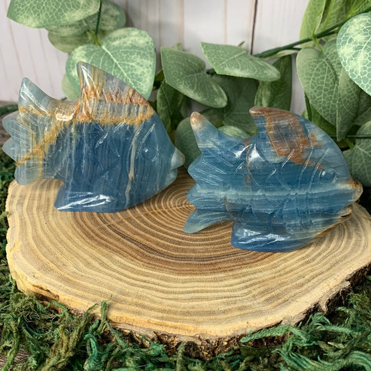 Fish Blue Onyx Carvings