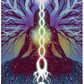 The Witch's Way Home Oracle: A 44 Card Deck & Guidebook
