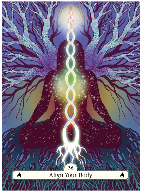 The Witch's Way Home Oracle: A 44 Card Deck & Guidebook