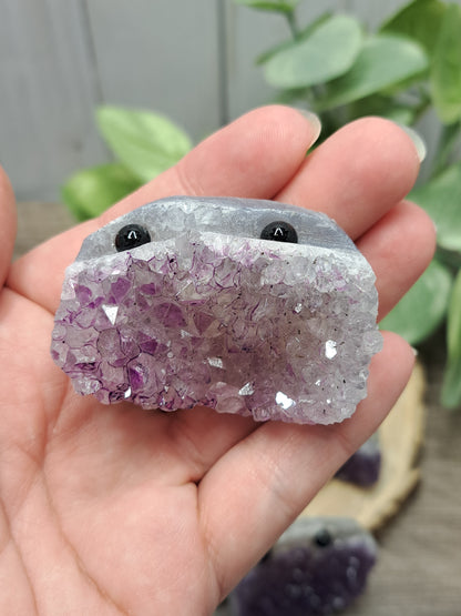Amethyst Rock Pets