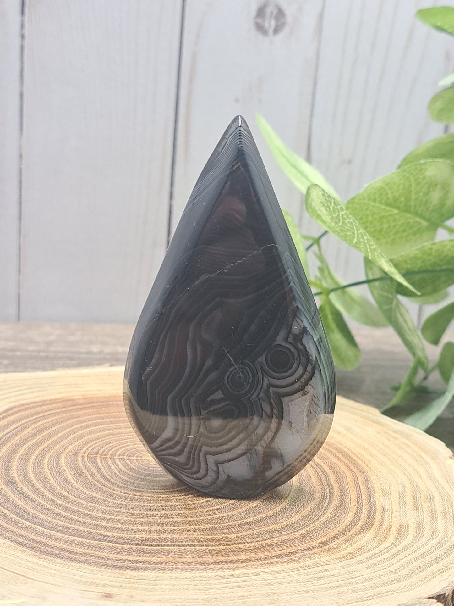 Black Agate Freeforms