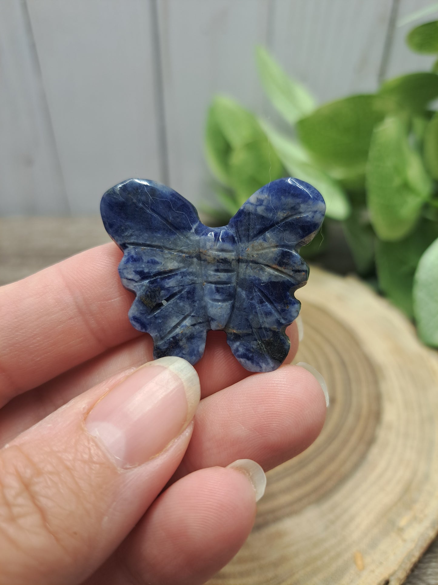 Butterfly Carvings