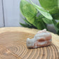 Dragon Head Mini Carvings - mini