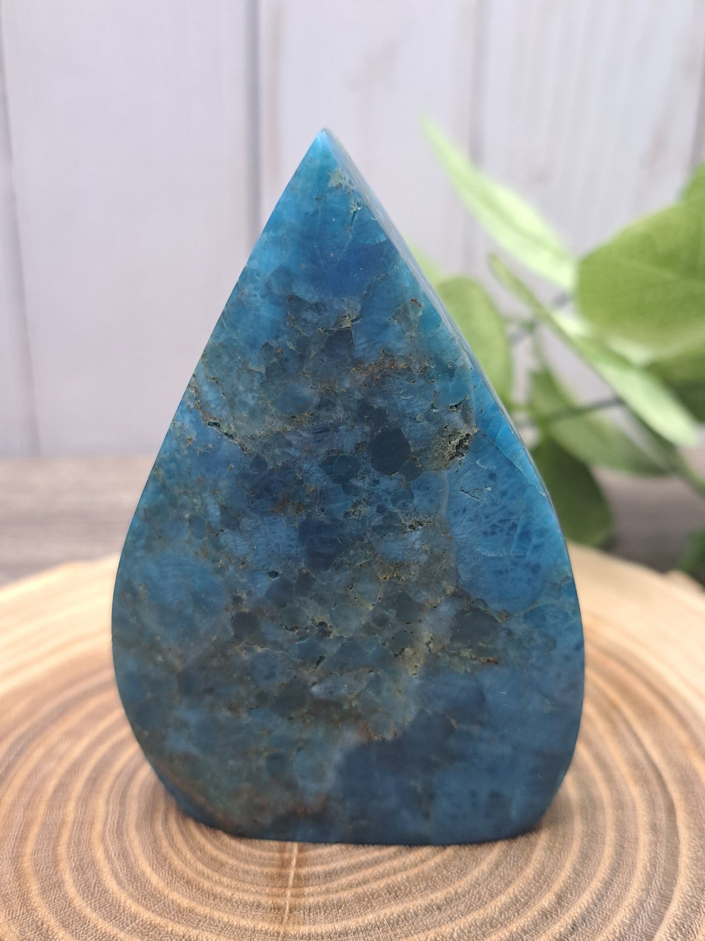 Blue Apatite Freeforms