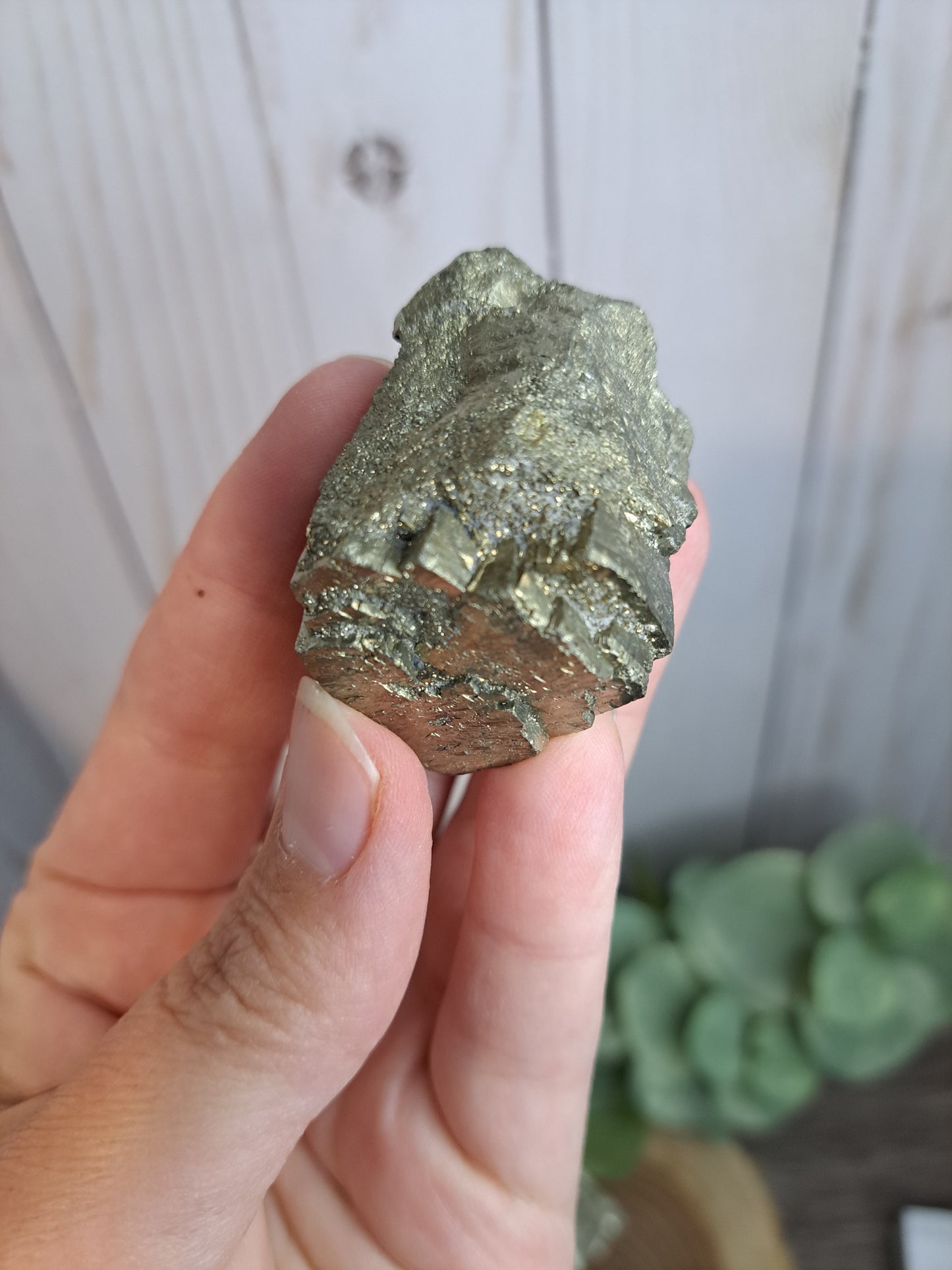 Pyrite Raw