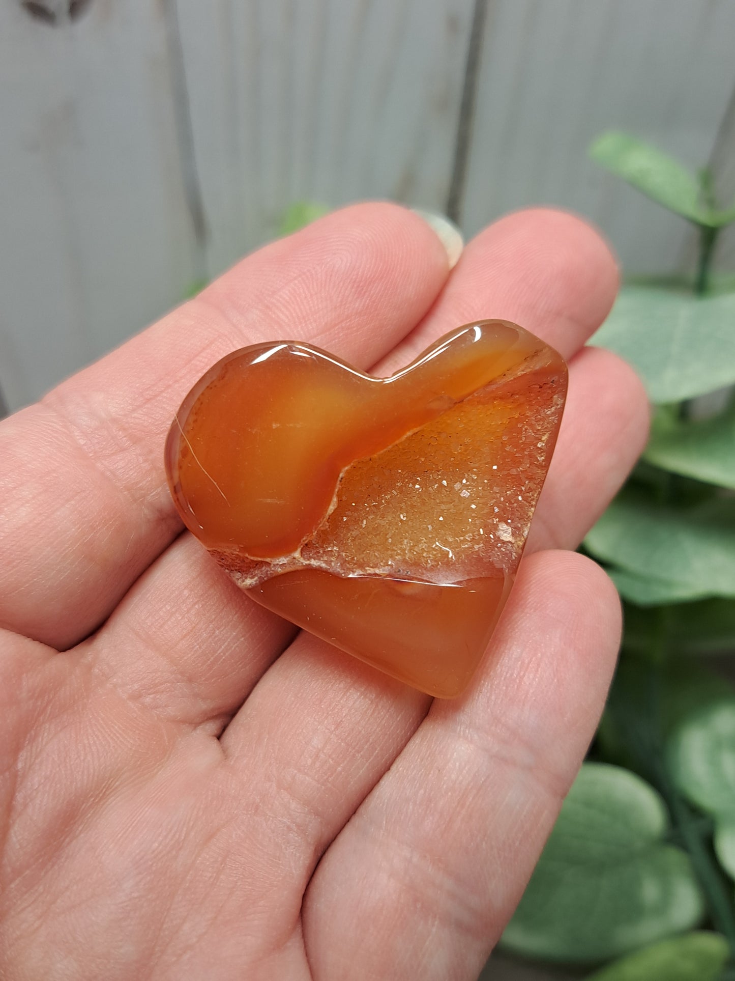 Carnelian Druzy Hearts