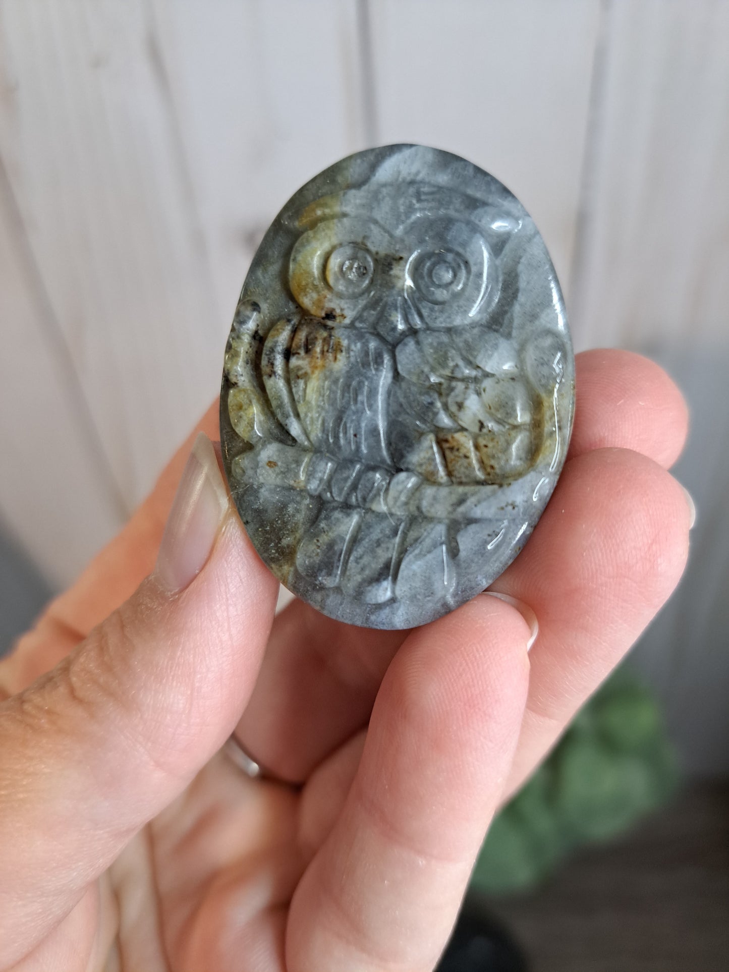 Owl Labradorite Carvings