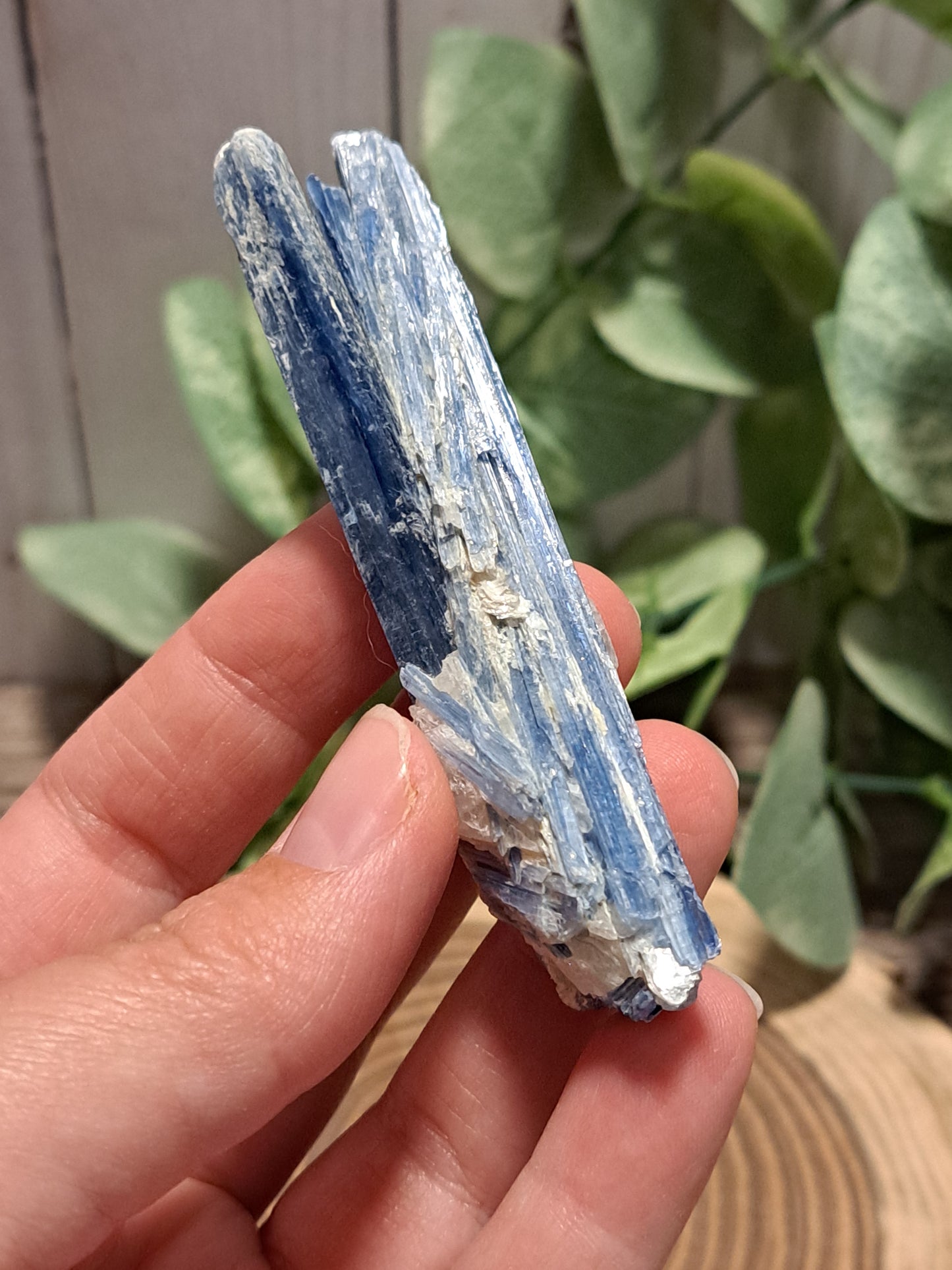 Kyanite Raw