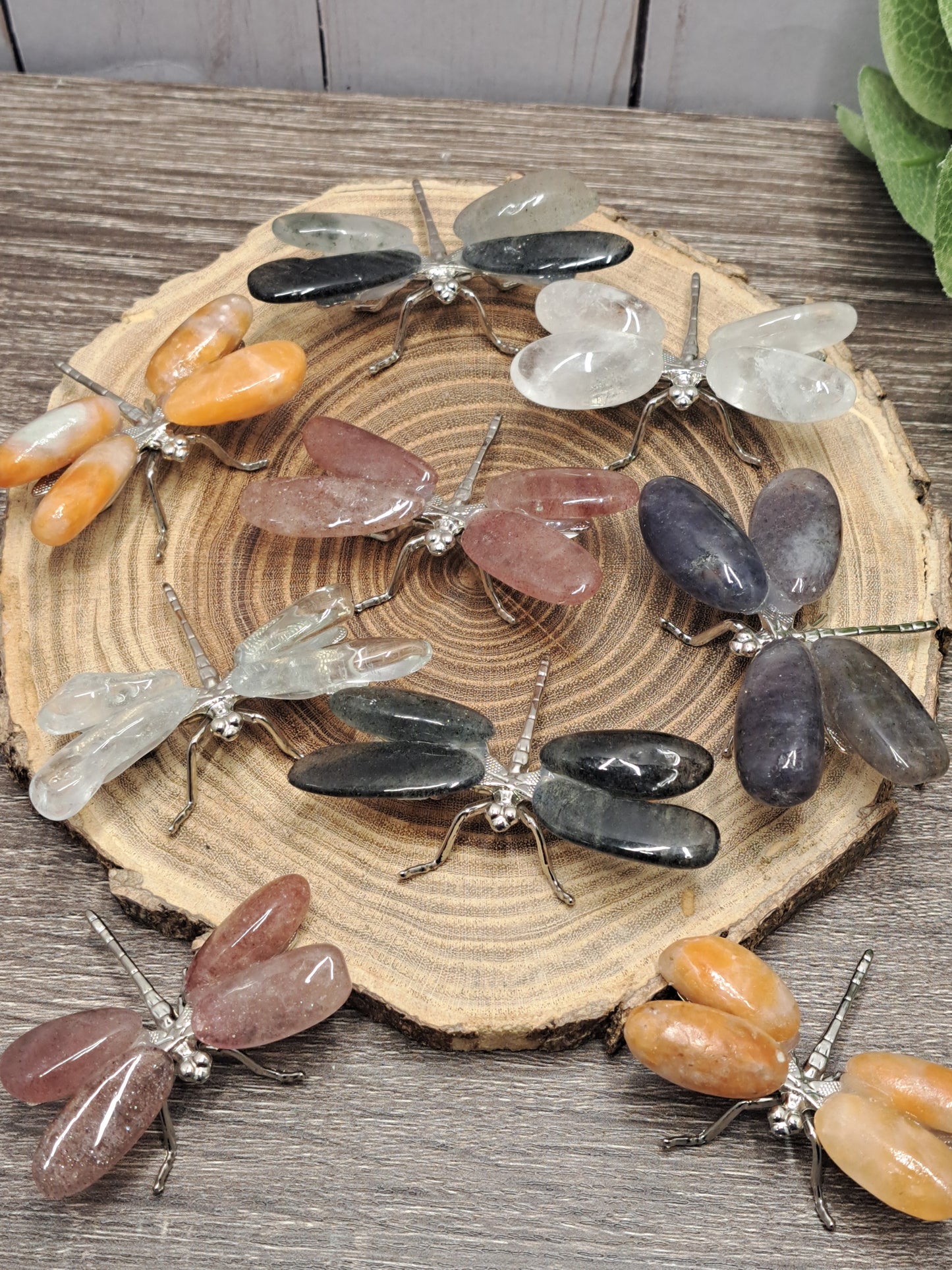 Dragonflies
