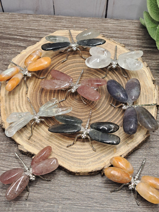 Dragonflies