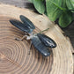 Dragonflies