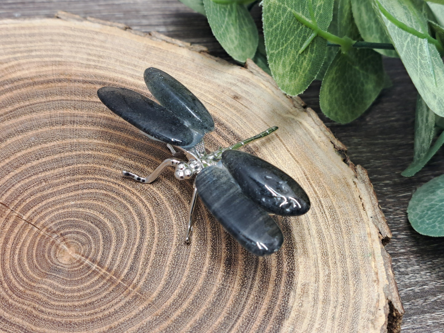 Dragonflies