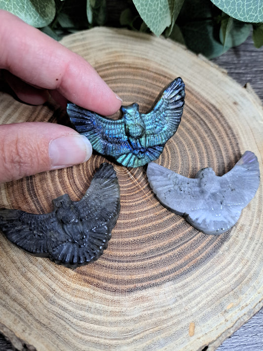 Bird Labradorite Carvings