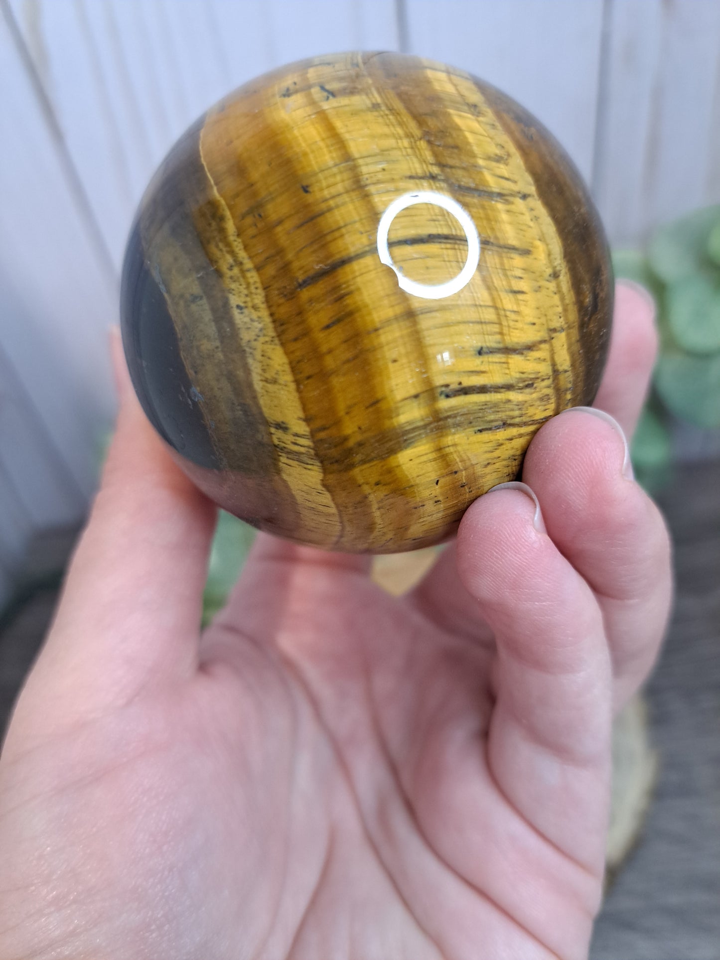 Tigers Eye Sphere