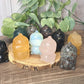 Cutie Pie Dinosaur Carvings