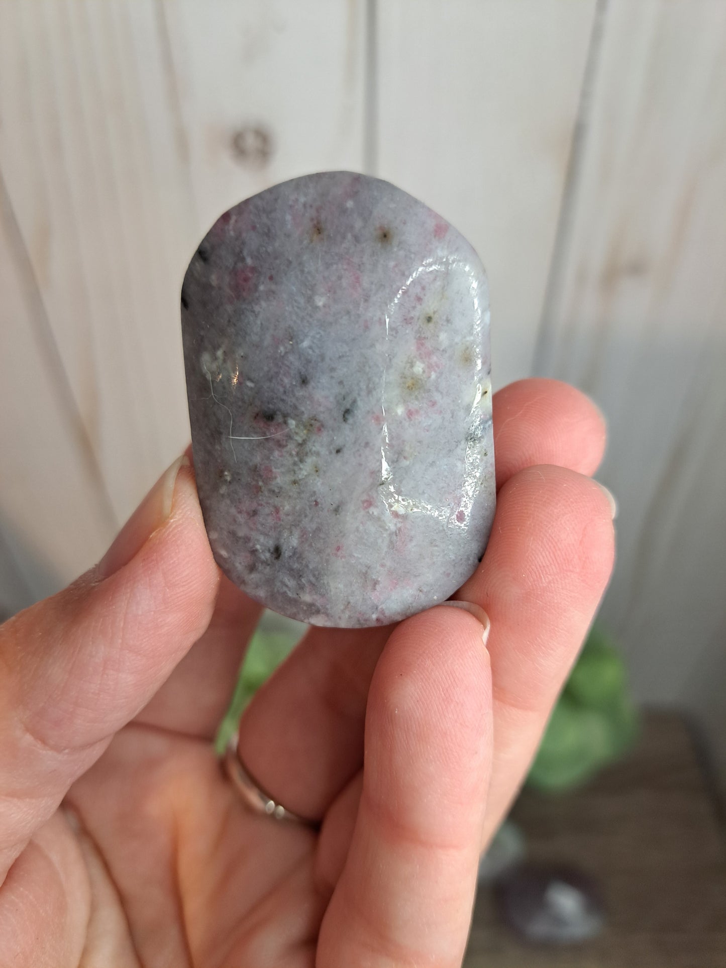 Unicorn Stone Palm Stone