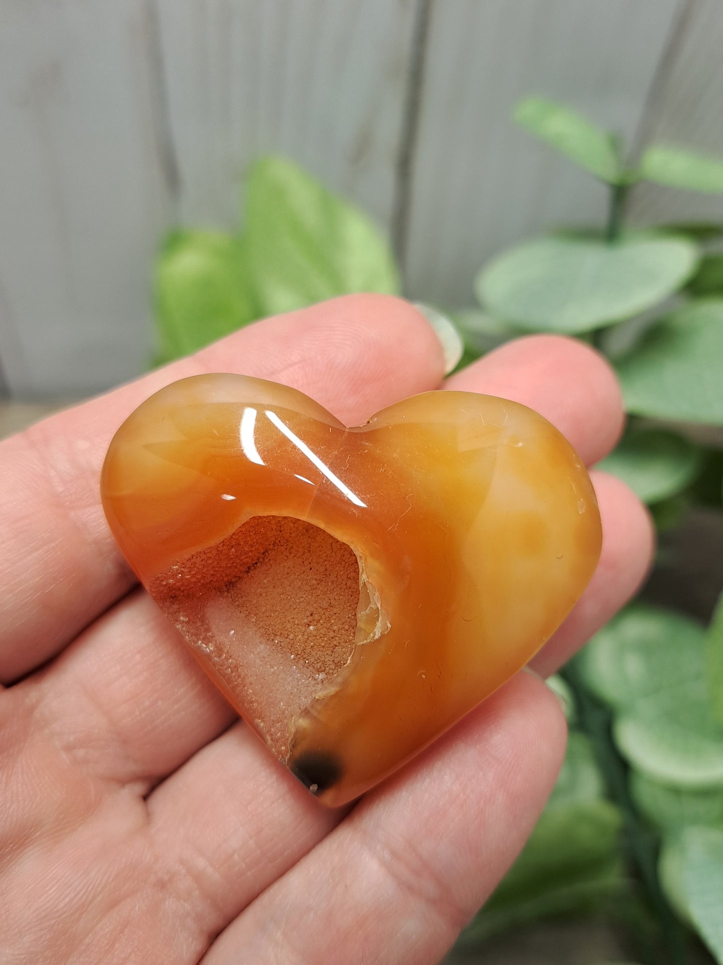 Carnelian Druzy Hearts