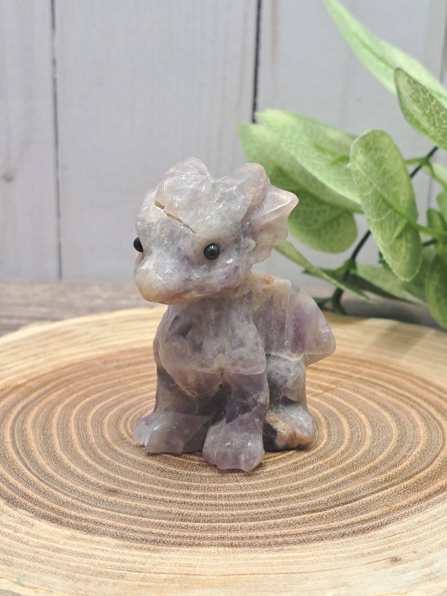 Baby Dragon - Small