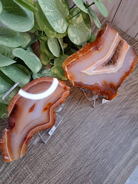 Carnelian Slabs